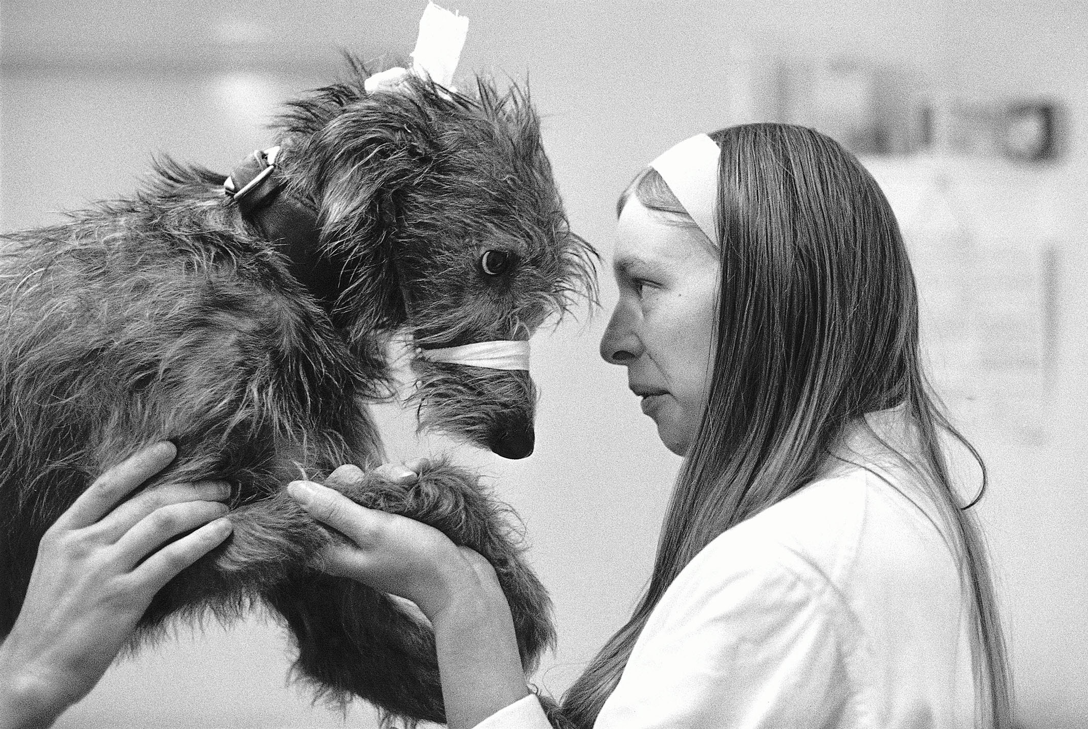 A close-up profile shot captures a veterinary worker gazing intently into the eyes of a scruffy, bandaged dog she is gently holding.