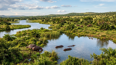 The Sahara Desert was once filled with rivers, giant lakes and hippos. Scientists explain why it turns green every 20,000 years