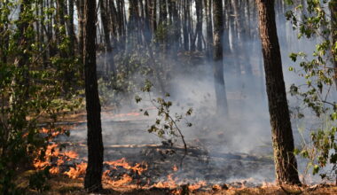 Europe wildfires: 2 firefighters die in Greece as France battles blaze 4 times the size of Paris