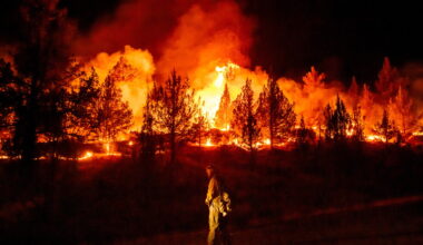 Extreme wildfires burn Europe, North America. But fires decrease globally