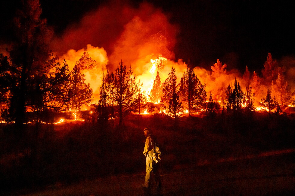 Extreme wildfires burn Europe, North America. But fires decrease globally