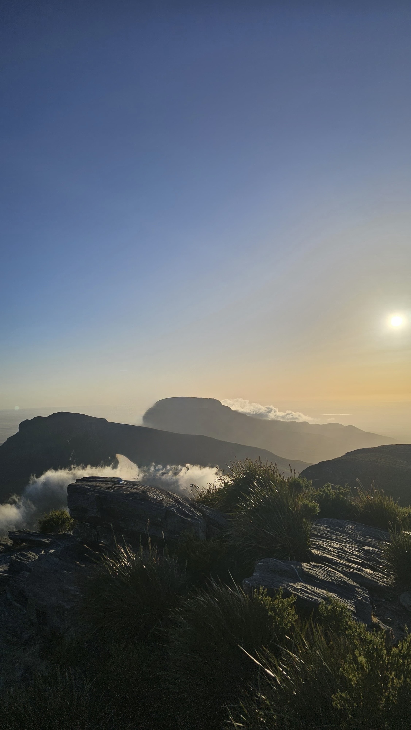 Assorted images demonstrating Clean Up in iOS 26