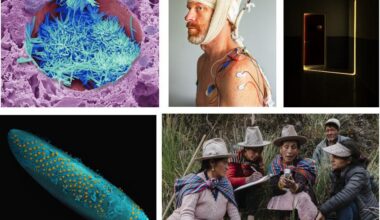 Call For Entries - Wellcome Photography Prize / Reimagining Health