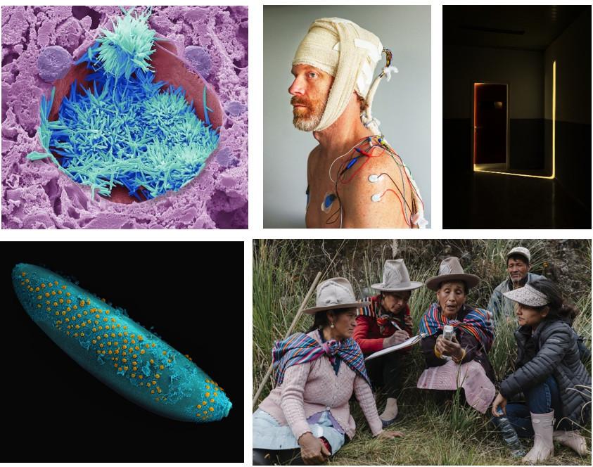 Call For Entries - Wellcome Photography Prize / Reimagining Health