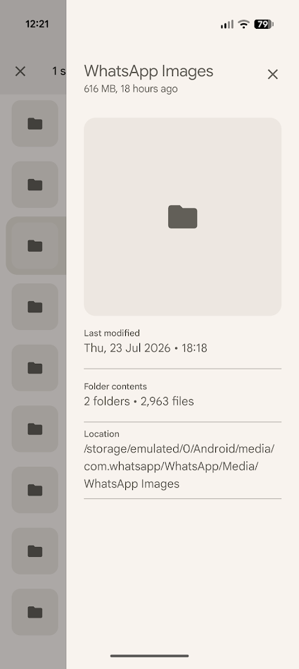 file information in google files app