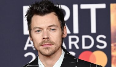 Harry Styles took break from music due to pressure
