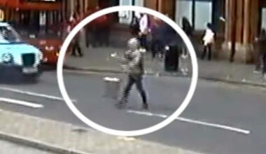 Moment thief steals gold suitcase worth £175k from woman outside St Pancras Station - London Evening Standard