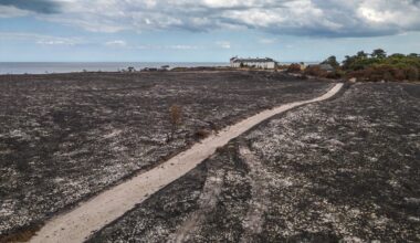 UK weather latest: Over 1,000 wildfires recorded in 2026 as Burnham to hold emergency meeting on extreme heat