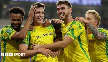 Cardiff City 1-2 Norwich City: Ante Crnac scores on return as Canaries advance in EFL Cup