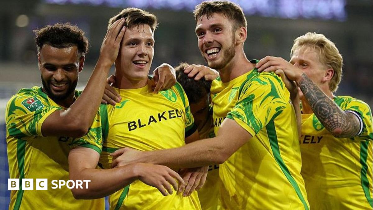 Cardiff City 1-2 Norwich City: Ante Crnac scores on return as Canaries advance in EFL Cup