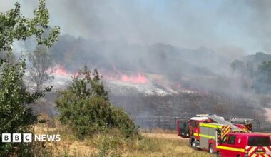 A large area on fire. The grassland is fire-damaged and there are two fire appliances on the right.