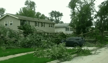 How a Chicago therapist says you can relieve stress from storms – NBC Chicago