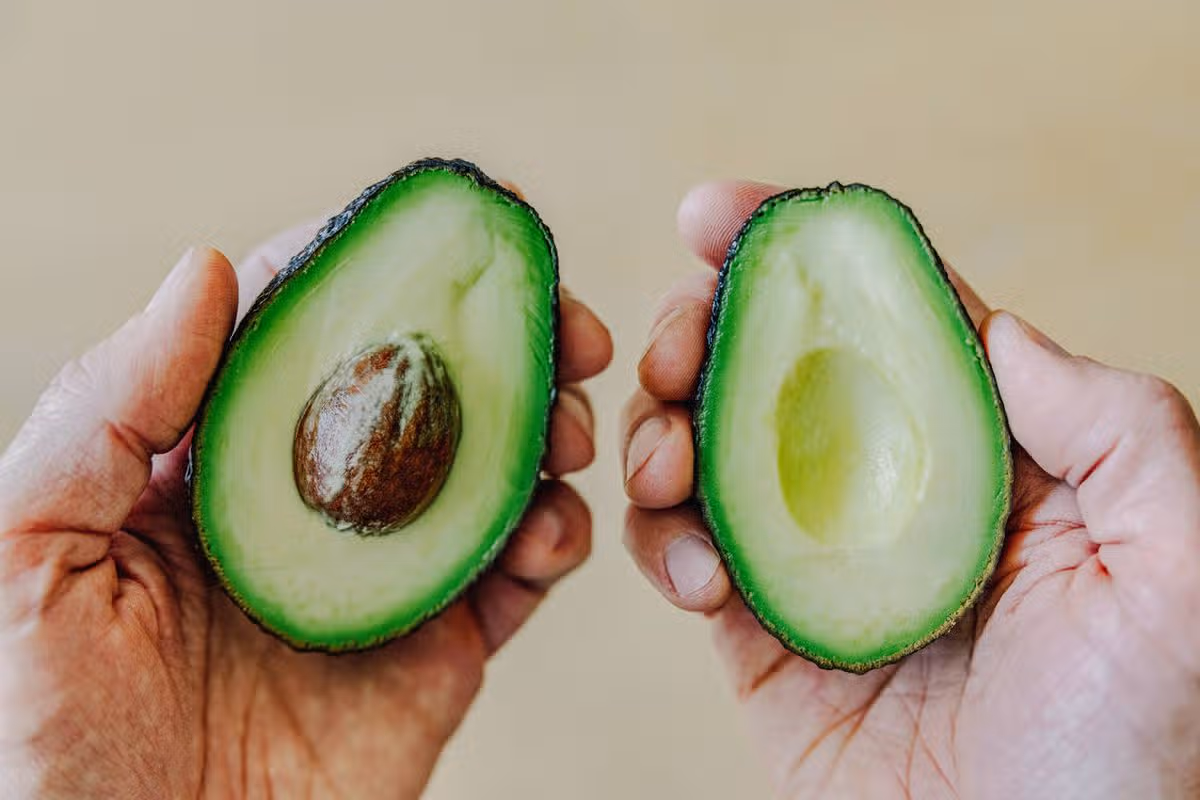 Avocado