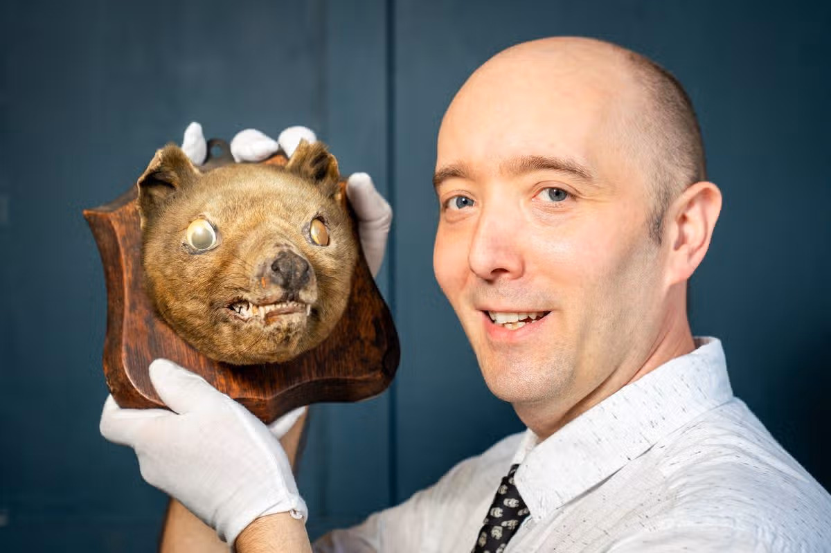 Andew Stowe holds a rare Thylacine tiger that sold at auction after being found at a car boot sale