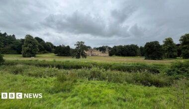 A country house set in land, some of it overgrown, and surrounded by trees.