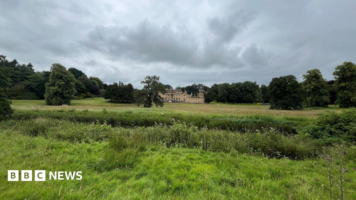 A country house set in land, some of it overgrown, and surrounded by trees.