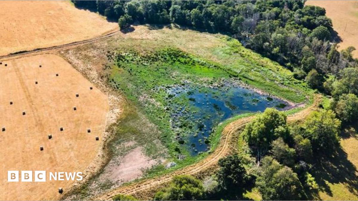 An aerial view of a wetland in Somerset shows a small area of water in the bottom right hand cover of an otherwise totally parched field. Whilst the water is surrounded by a small border of greenery, the fields all around it are brown.