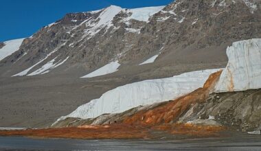 The eerie crimson waterfall, which pours from the Taylor Glacier into Lake Bonney, has long fascinated researchers with its blood-like appearance
