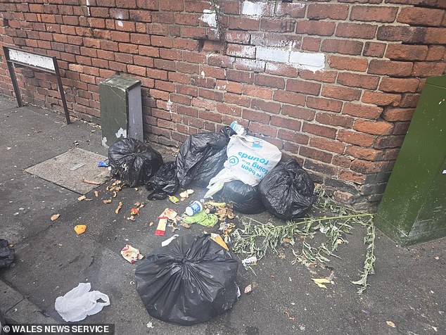 But bin bullies at Newport city council said rubbish could only be collected in 'approved' bags