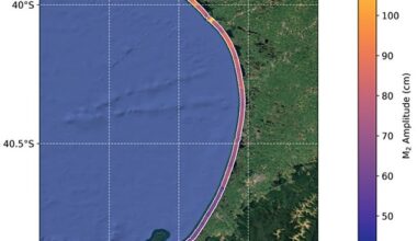 Satellite images have revealed that tides can vary by almost a metre across the length of a single bay. Pictured: Tidal variations in New Zealand's South Taranaki Bight