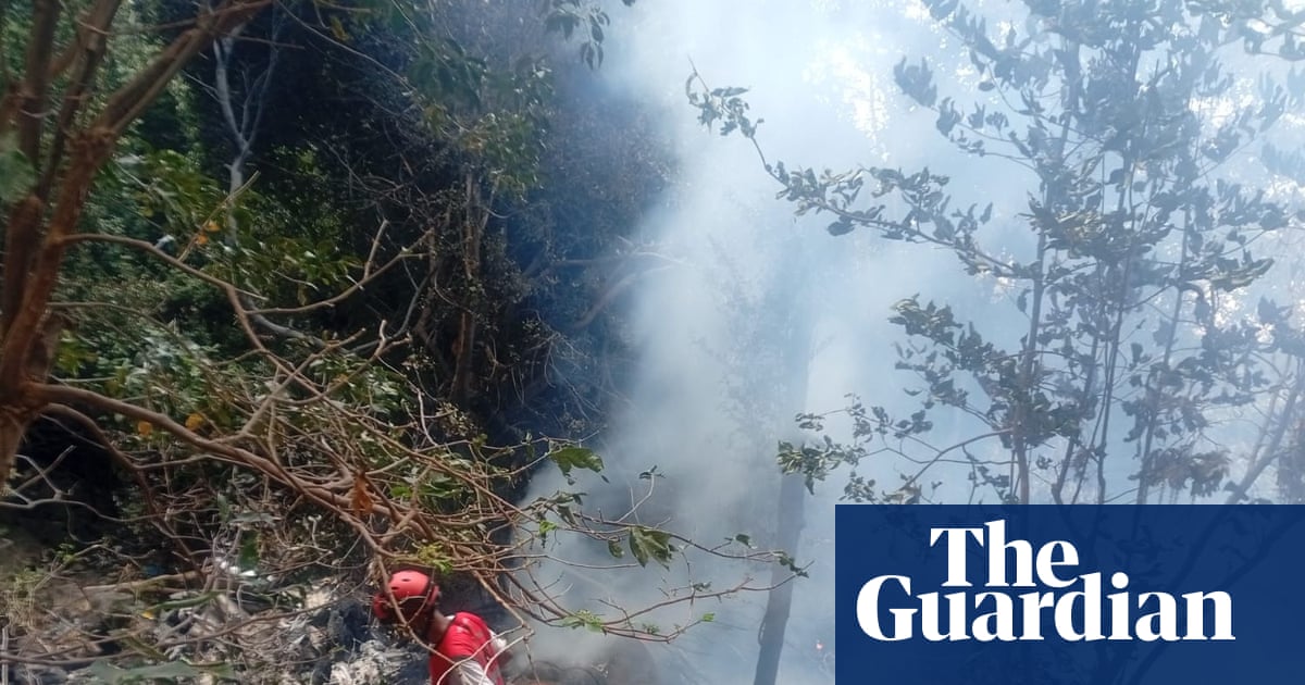 Five Americans among seven killed in safari helicopter crash in Kenya | Kenya