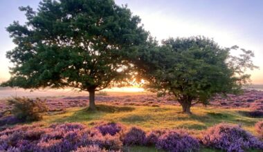 Best nature reserves in Norfolk for walks and rare wildlife