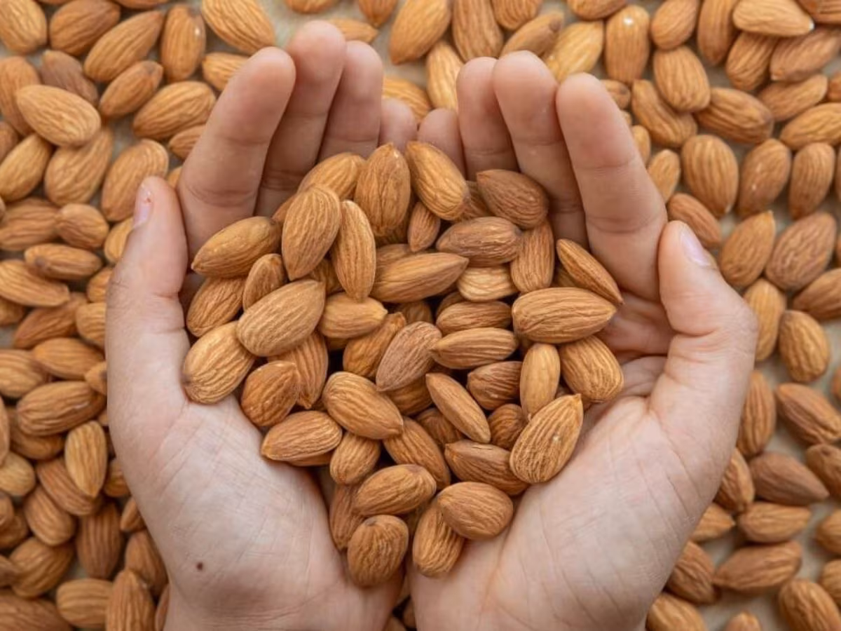 Almonds provide vitamin E, healthy fats, protein, and magnesium. Vitamin E helps protect cells from oxidative stress and supports normal immune function. A handful of unsalted almonds can be a healthy snack that fits well into a balanced monsoon diet.
