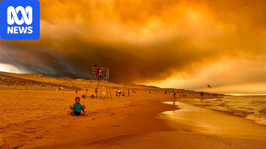 Fires in France, Spain wear 'the fingerprints of climate crisis'