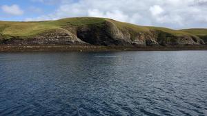 British Risso’s dolphins belong to single population