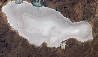 A Bare Summer for Barnes Ice Cap