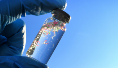 Queen Mary awarded prestigious grant to better understand links between pollution and health