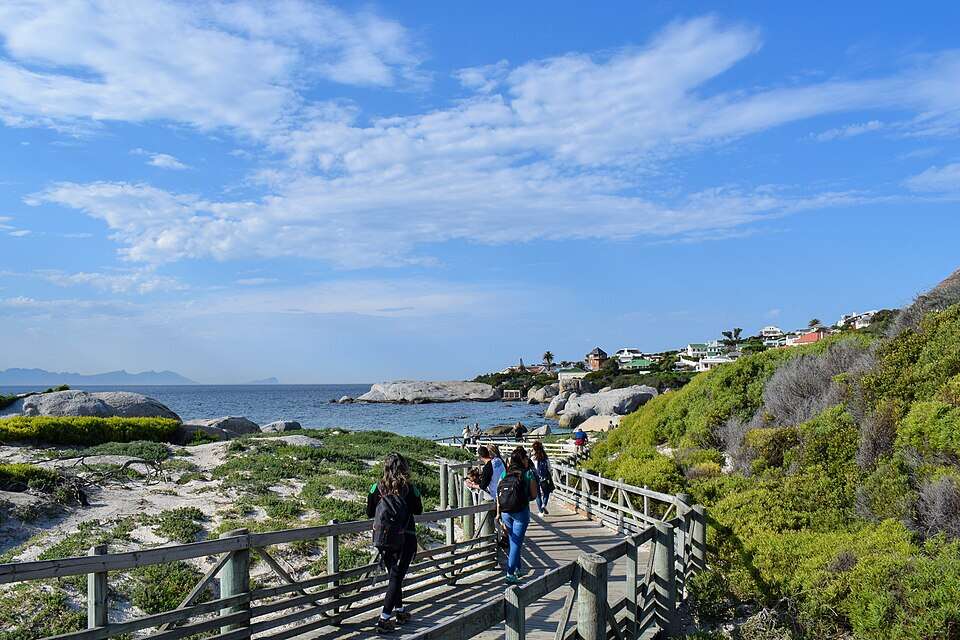 Tourists and penguins share this beach by design, not accident. Image Credits: Wikimedia Commons Image