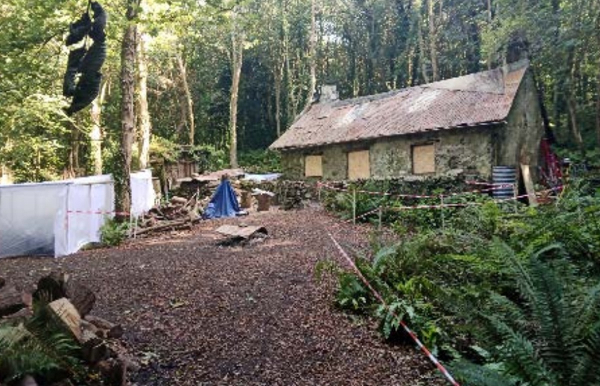Daniel Day-Lewis film cottage could become base for red squirrel conservation