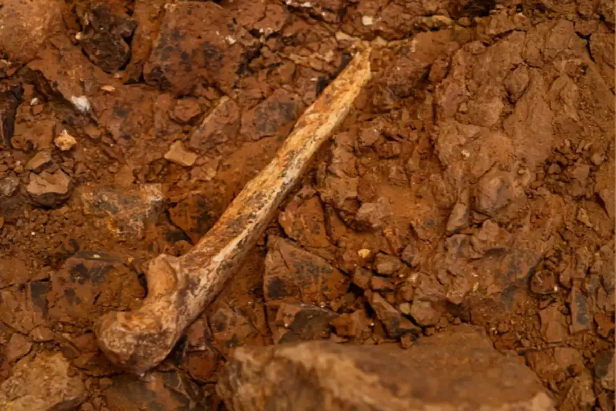 Human ancestor fossil unearthed in Spanish cave points to grim secret of first Europeans