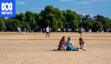 Britain's green pastures and parks turn brown as drought grips country