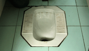 Cambridge news: Labour council installs squat toilets 'preferred by foreign visitors' that locals must pay to use