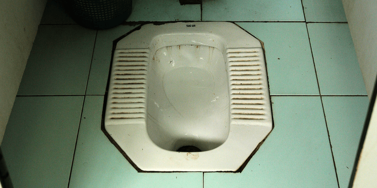 Cambridge news: Labour council installs squat toilets 'preferred by foreign visitors' that locals must pay to use