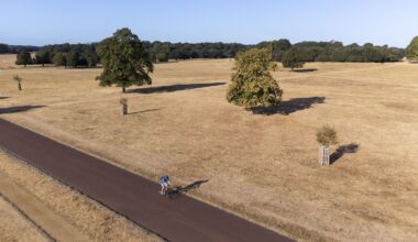 Heat health alerts come into force as fifth heatwave set to hit UK