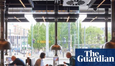 Bullgogi, Manchester M1: ‘Highly decent, amenable, human-free dining’ – restaurant review | Food