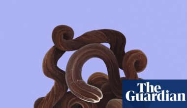 Stuff of nightmares? Meet the bootlace worm – super-long, super-elastic, and it fires toxic slime | Marine life