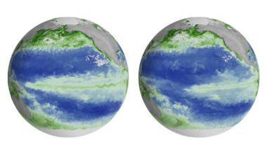El Niño Alters Marine Life in the Pacific