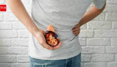 Keto, Carnivore, High-Protein Diets: Can eating too much protein or too few carbs put your kidneys under stress?
