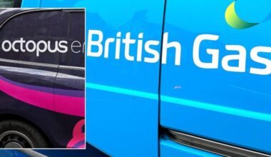 British Gas, Octopus and EDF customers could get £750 off energy bills