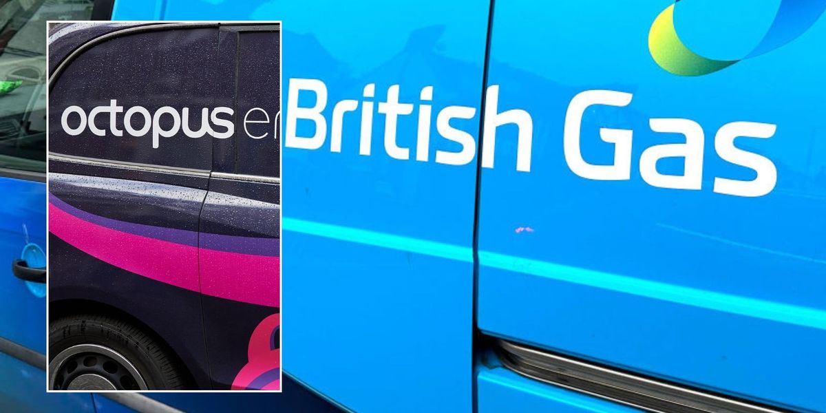 British Gas, Octopus and EDF customers could get £750 off energy bills
