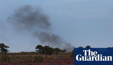 ‘Real struggle’ to tame New Forest blaze as UK set for hottest summer on record | UK weather
