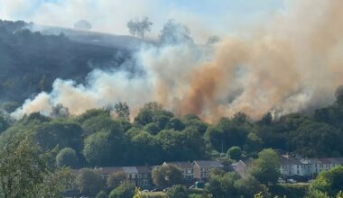 Wales Online