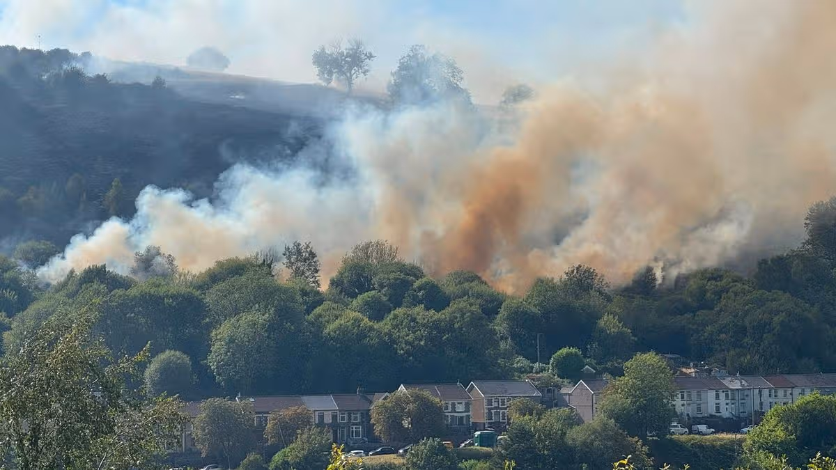 Wales Online