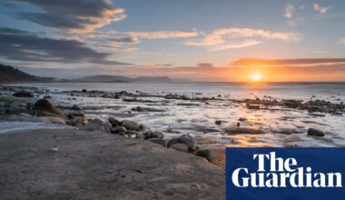 Block export of ‘national treasure’ UK fossils, says MP | Fossils