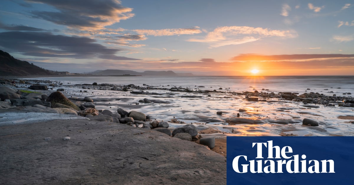 Block export of ‘national treasure’ UK fossils, says MP | Fossils