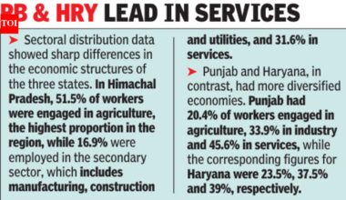 Punjab youth unemployment up, Himachal Pradesh tops region: PLFS data